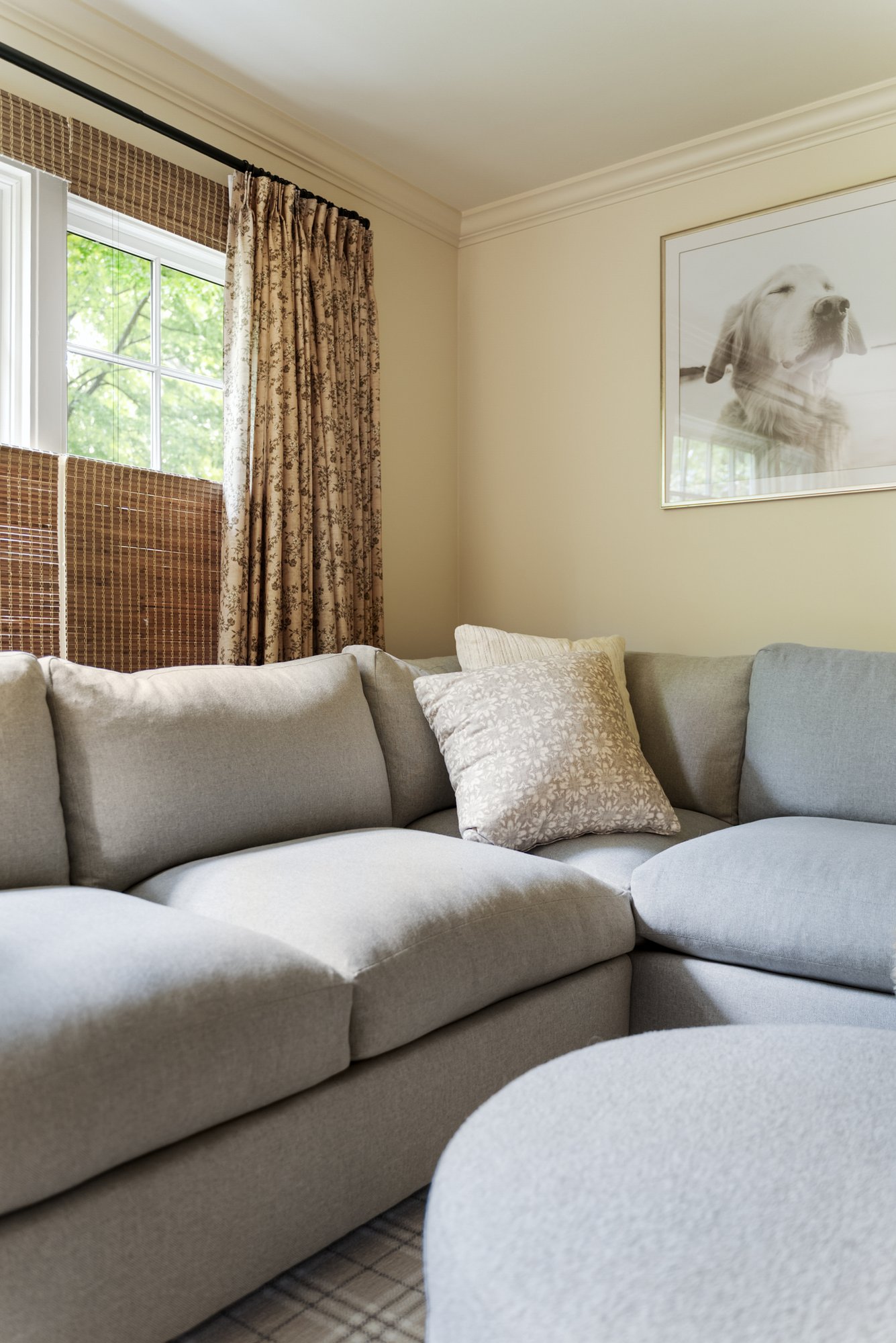 Courtland Blvd Furniture 