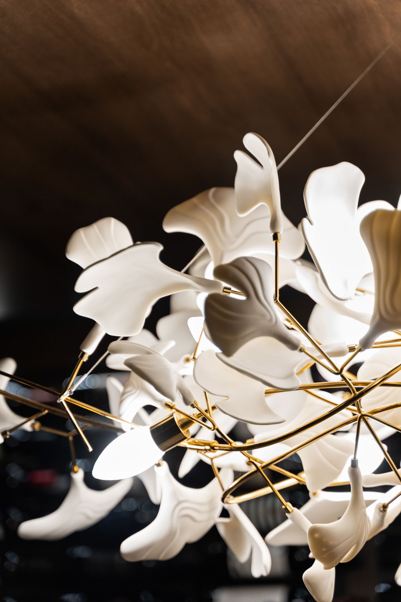 Chagrin Falls Wine Cellar