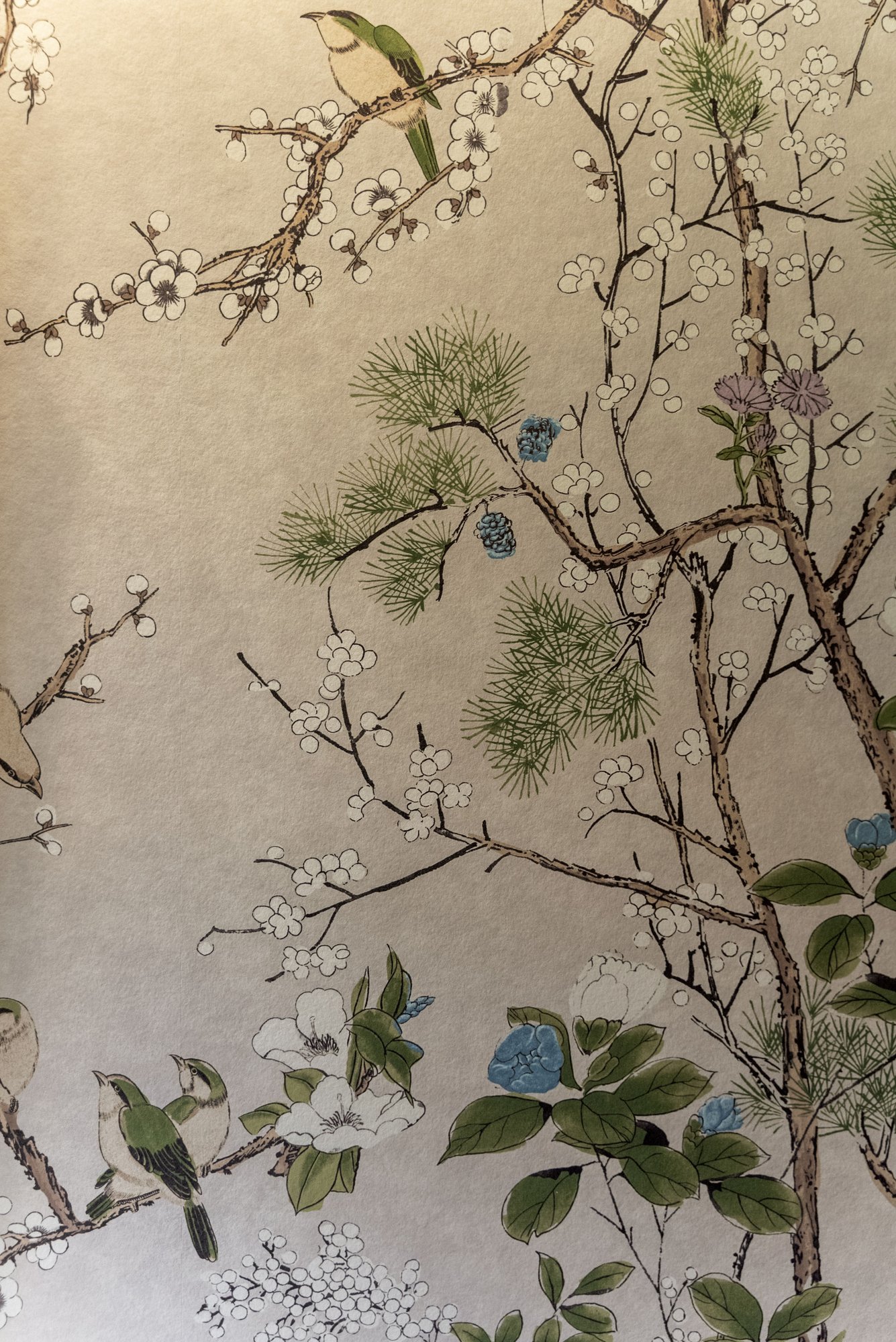 Pepper Pike Traditional Renovation