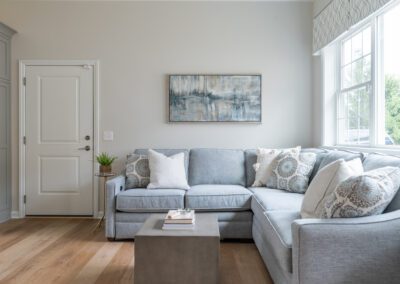 in law suite living room