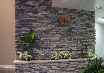 stone wall with tropical plants and Exscape Designs sign