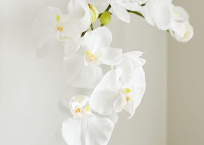 Orchid Detail in White Ohio Renovated Home Luxury 