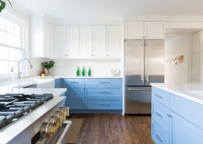 Light Blue Cabinets Kitchen Renovation